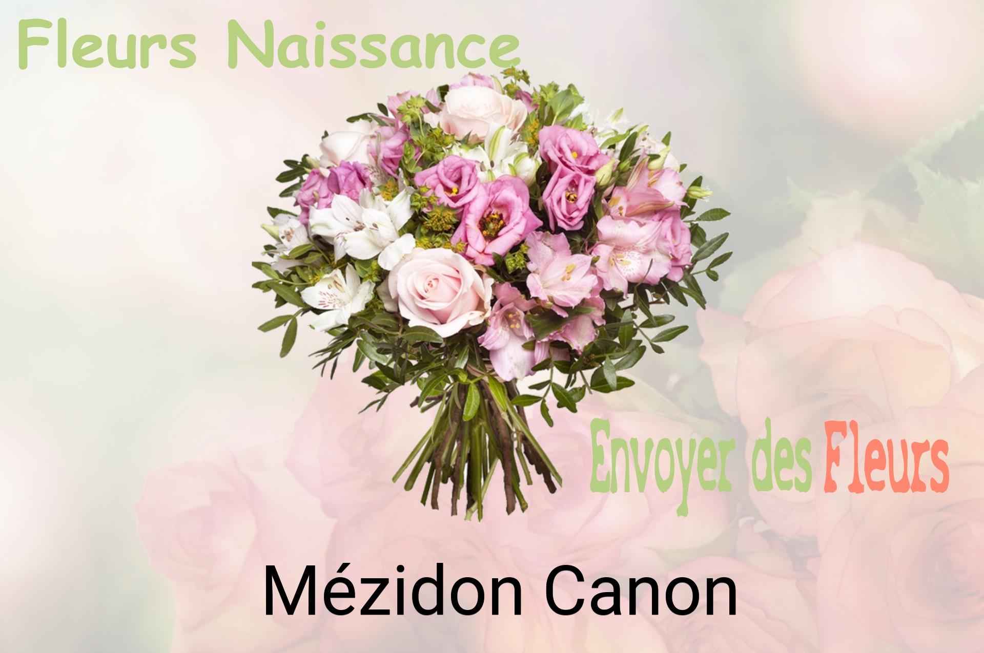 Bouquet de fleurs de naissance livré à Mézidon-Canon